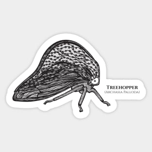 Treehopper with Common and Latin Names - bug on white Sticker